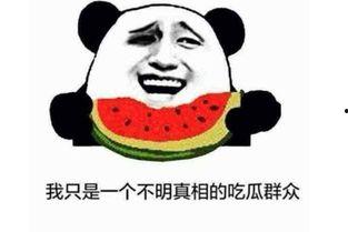 吃瓜看客看你吃瓜是啥意思,吃瓜看客视角下的瓜田盛宴