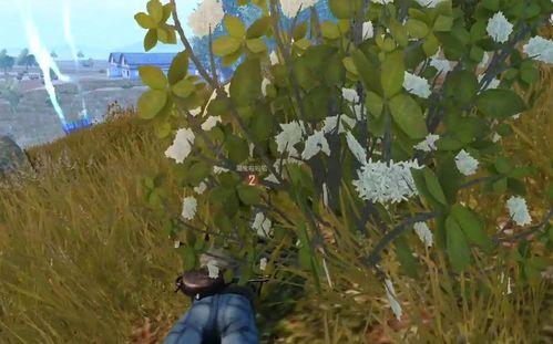 伏地魔专业吃瓜,揭秘魔界大BOSS的吃瓜日常