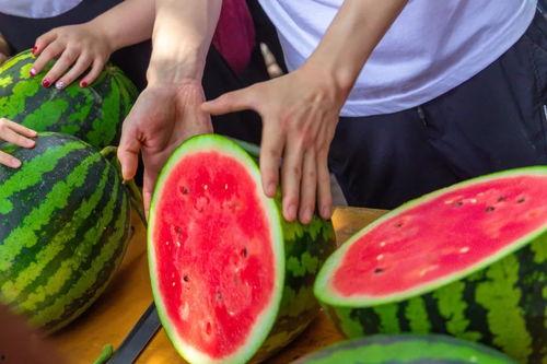 子辰吃瓜,揭秘娱乐圈那些不为人知的幕后故事