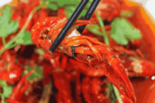 我在吃龙虾你们吃瓜,共享美食与欢乐时光