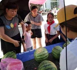 中专吃瓜群,揭秘校园里的“八卦风云”