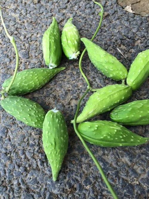 孕妇吃麒麟瓜好吗,孕妇食用麒麟瓜的利与弊