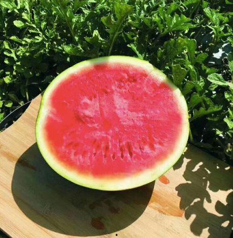 万宁吃瓜,探寻热带水果的甜蜜奥秘