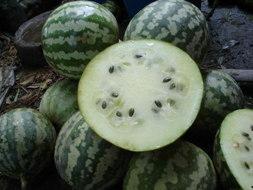 新疆罗汉瓜怎么吃,解锁美味新体验