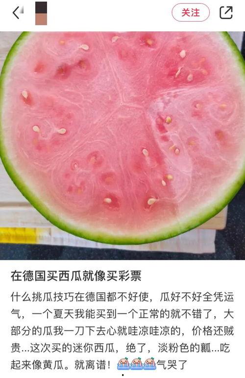 中国西瓜吃瓜自由,畅享中国“吃瓜自由”的夏日风情