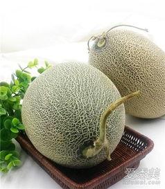 胖胖的吃哈密瓜,甜蜜滋味中的健康生活