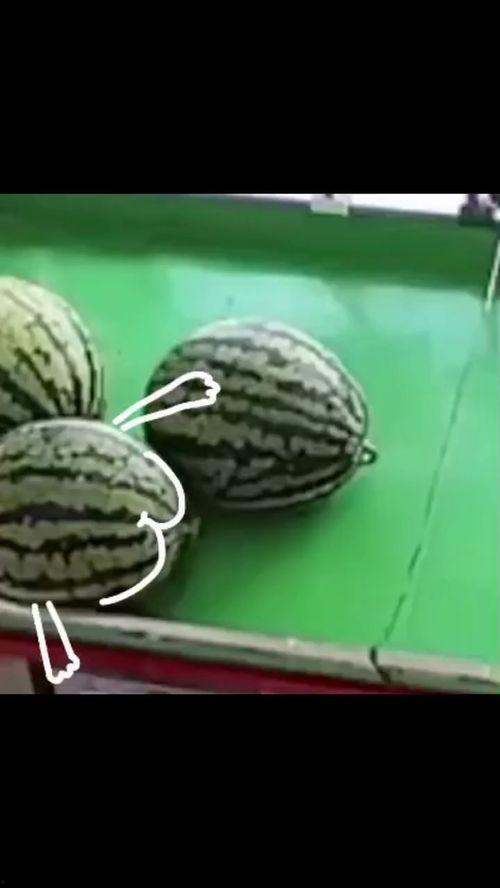 吃瓜表情绘画作品,一幅描绘当代生活的绘画作品解读