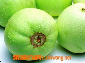 吃田瓜有坏处,揭秘吃田瓜的潜在坏处