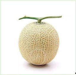 慕沐吃瓜,揭秘娱乐圈幕后故事