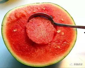 樱花社吃瓜群,揭秘校园八卦背后的故事