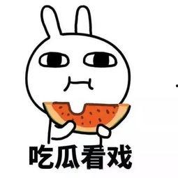 全网吃瓜我离婚,揭秘“全网吃瓜我离婚”背后的真相与反思