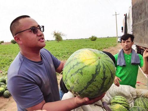 假装给朋友吃瓜,那些年我们假装吃过的瓜