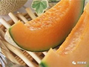 瓜贩子吃哈密瓜,一场甜蜜的邂逅