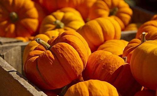 神图壁纸吃瓜,揭秘娱乐圈幕后故事