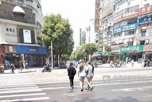 成都马路吃瓜,一场独特的市井文化盛宴