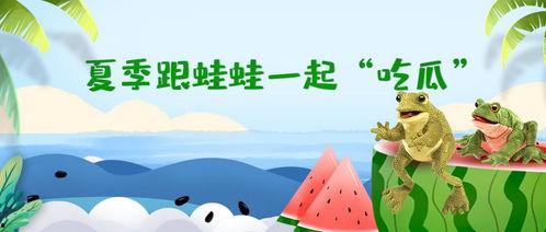 吃瓜群众的夏日,轻松度夏必备攻略