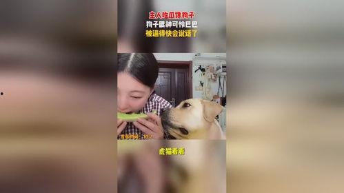 给你眼神自己吃瓜