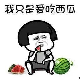 吃瓜没有圈是谁