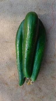 瓜还能这么吃,创意吃法大揭秘