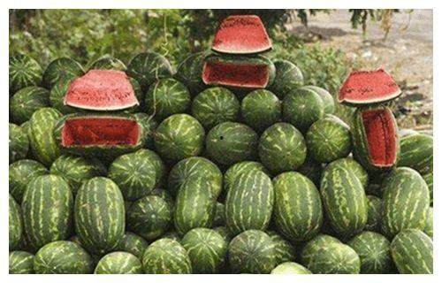 路边吃瓜,揭秘路边吃瓜的趣味时光