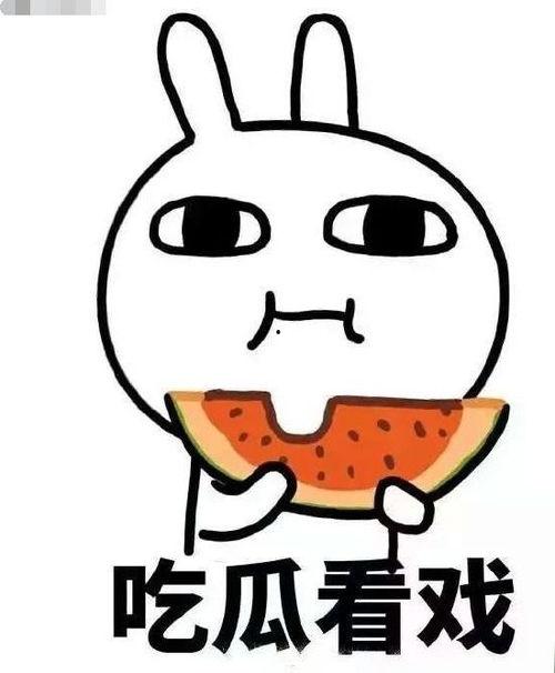 争宠吃瓜全文,宫廷权谋与爱恨情仇的瓜界风云