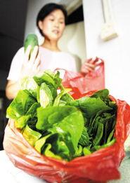 岑岑吃瓜学霸,揭秘校园里的学霸生活与趣事