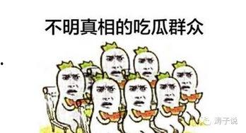 哈子吃瓜群众,揭秘网络热议背后的真相与笑料