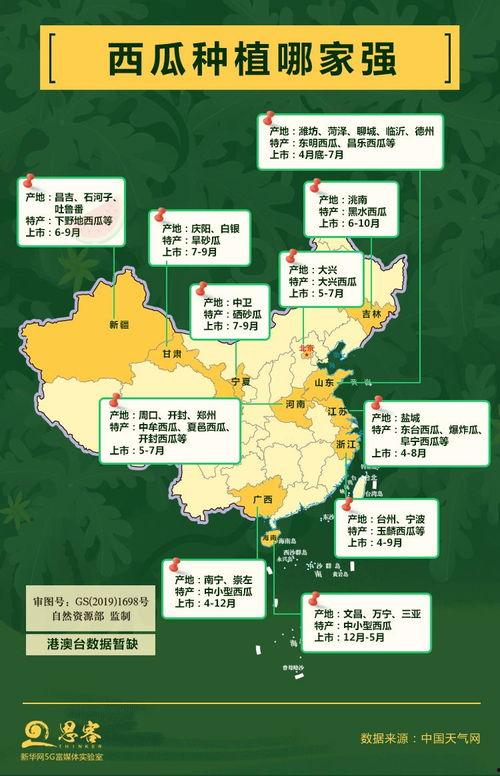 吃瓜吃到心理崩溃,揭秘“瓜农”的内心世界