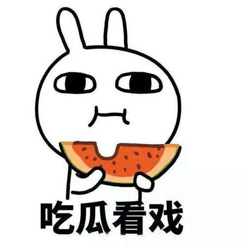 硬核吃瓜是什么,网络热词背后的文化现象与社交趋势