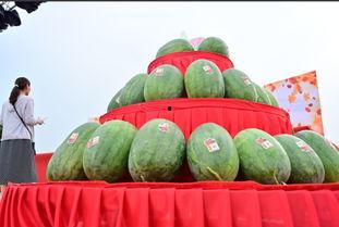 鄄城食堂吃瓜,美食盛宴等你来尝