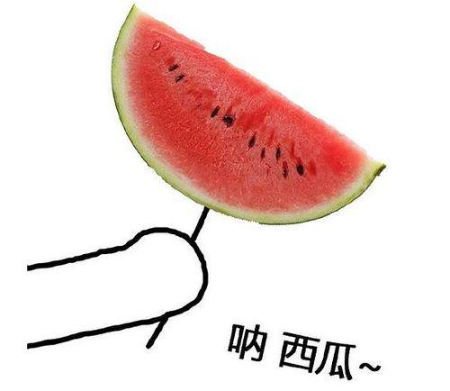 花小钱吃大瓜图片,一图看尽花小钱吃大瓜的奇妙世界