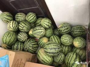 瓜姐吃瓜群,揭秘娱乐圈幕后故事