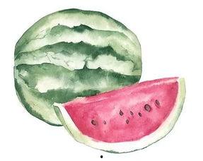 吃瓜者叫什么,揭秘“吃瓜群众”背后的故事