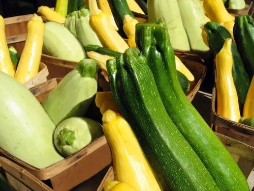 带你吃瓜推荐软件,揭秘热门软件推荐背后的秘密