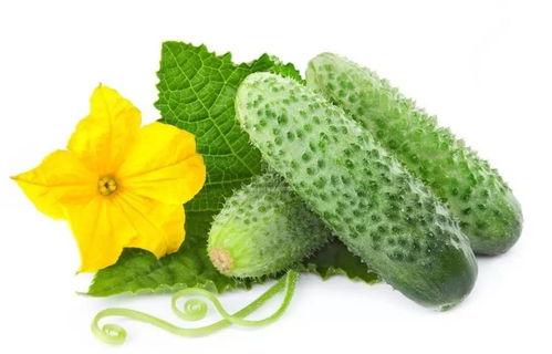 穿越书中吃瓜系统,揭秘吃瓜系统的神奇魅力