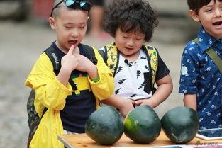 吃瓜育娃,轻松育儿新风尚