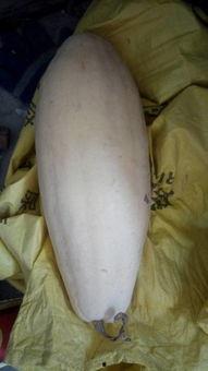 吃瓜大白温颜,揭秘娱乐圈的甜蜜瓜田